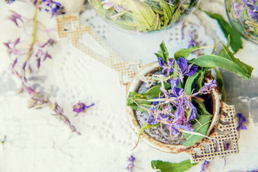 Similar image 13179759