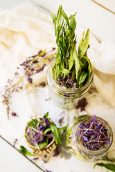 Similar image 13179765