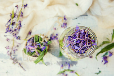 Similar image 13179785