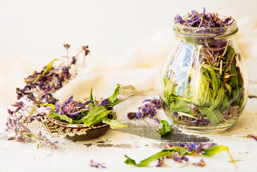 Similar image 13179804