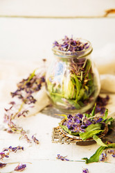 Similar image 13179825