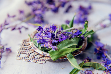 Similar image 13179826