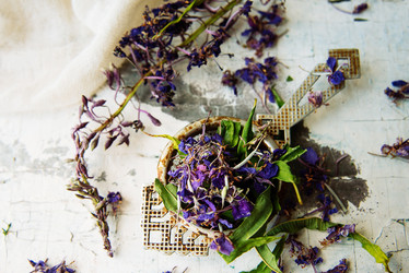 Similar image 13179847