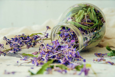 Similar image 13179865