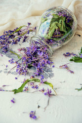 Similar image 13179866