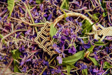 Similar image 13179886