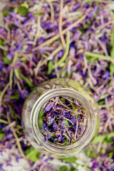 Similar image 13179904