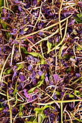 Similar image 13179905