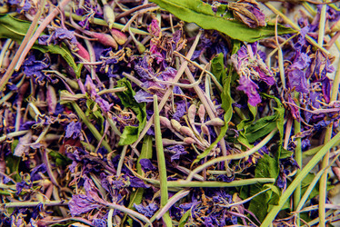 Similar image 13179926