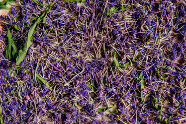 Similar image 13179944