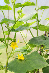 Similar image 13163591