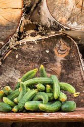 Similar image 13163593