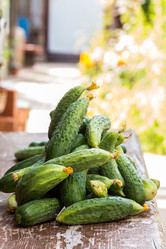 Similar image 13163594