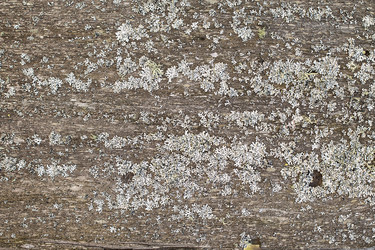 Similar image 13163598