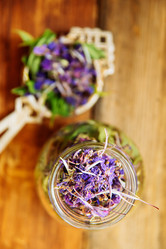 Similar image 13180045