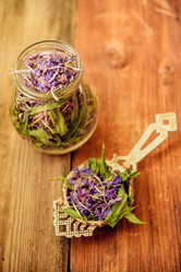 Similar image 13180082