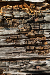 Similar image 13163599