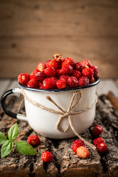 Similar image 13163601