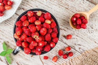 Similar image 13163602