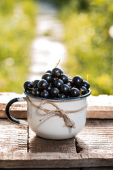 Similar image 13163632