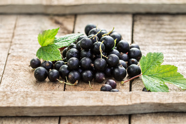 Similar image 13163634