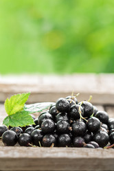 Similar image 13163635