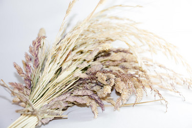 Similar image 13165413