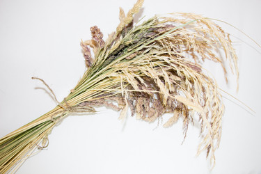 Similar image 13165414