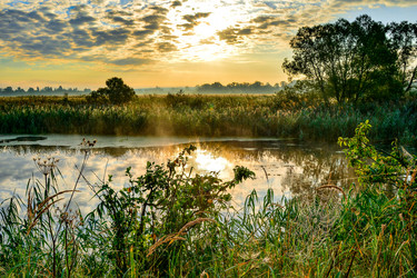 Similar image 13165887