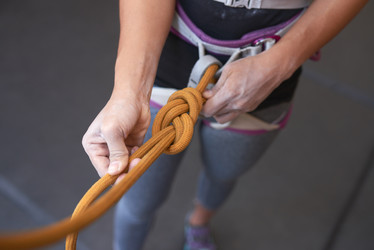 Similar image 13163948