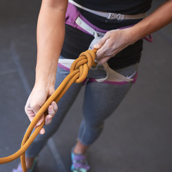 Similar image 13163949