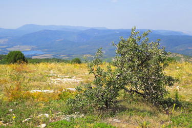 Similar image 13165423