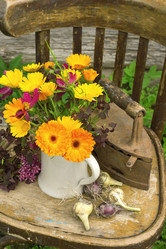 Similar image 13165424