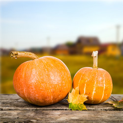 Similar image 13165541