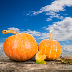 Similar image 13165542