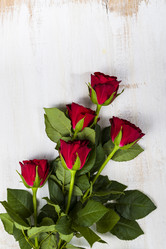 Similar image 13165552