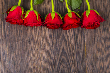 Similar image 13165553