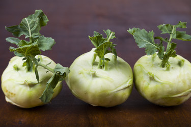 Similar image 13165584