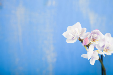 Similar image 13165589