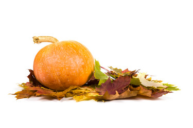 Similar image 13165592