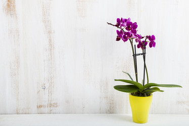 Similar image 13165595