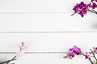 Similar image 13165597