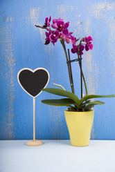 Similar image 13165598