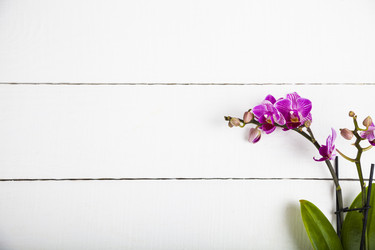 Similar image 13165599