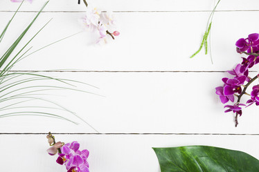 Similar image 13165600