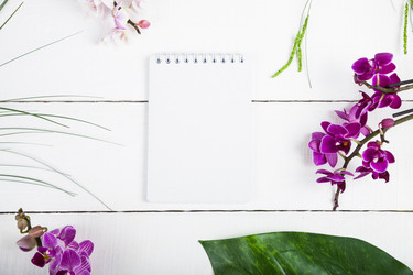 Similar image 13165602