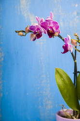 Similar image 13165604