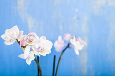 Similar image 13165605