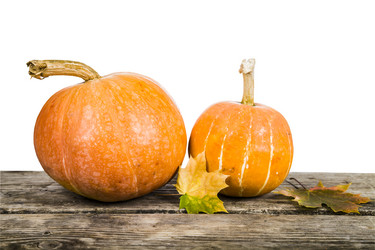 Similar image 13165615