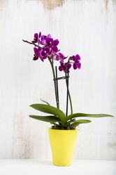 Similar image 13165631